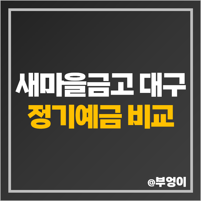 대구 새마을금고 특판 예금 추천 정기예금 금리 비교 대구 새마을금고 특판 예금 추천 정기예금 금리 비교