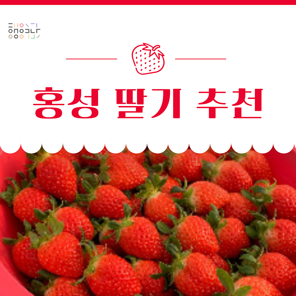 홍성베리팜 사진 1
