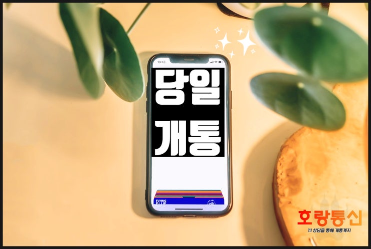 신불자 핸드폰 개통 본인 명의로 하는 방법 신불자 핸드폰 개통 본인 명의로 하는 방법
