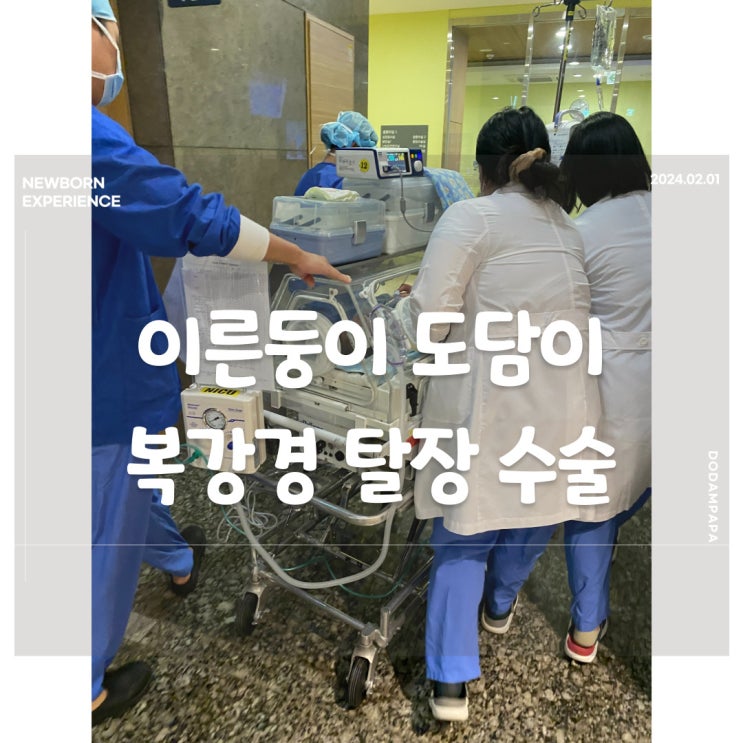 이른둥이 도담이 복강경 탈장 수술 후기 이른둥이 도담이 복강경 탈장 수술 후기