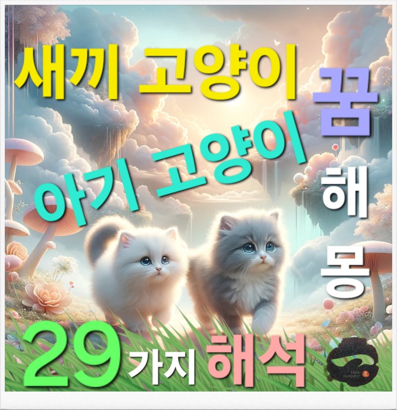 새끼 고양이 꿈 해몽 & 아기 고양이 꿈 29가지~