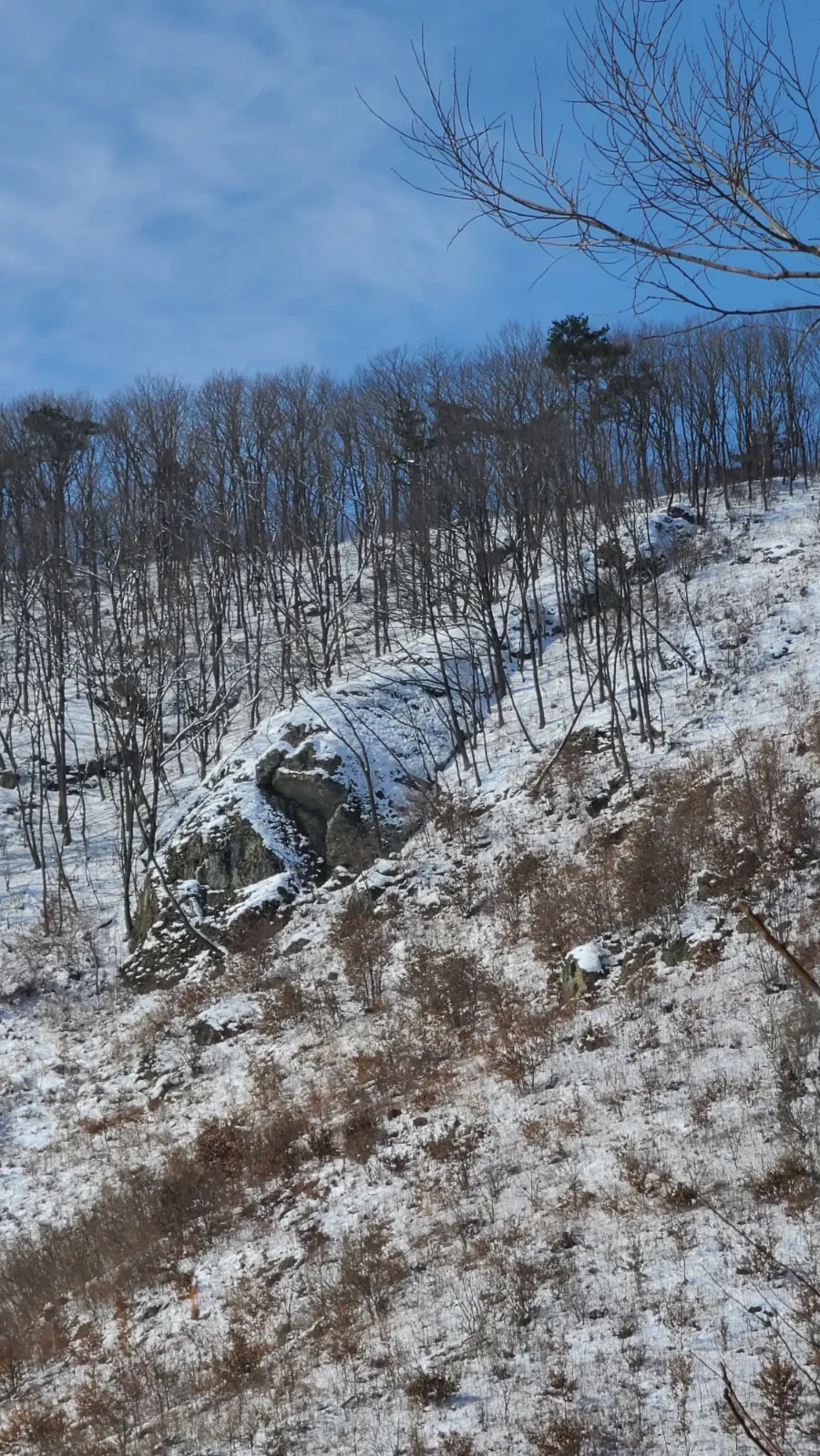 밭골 사진 1