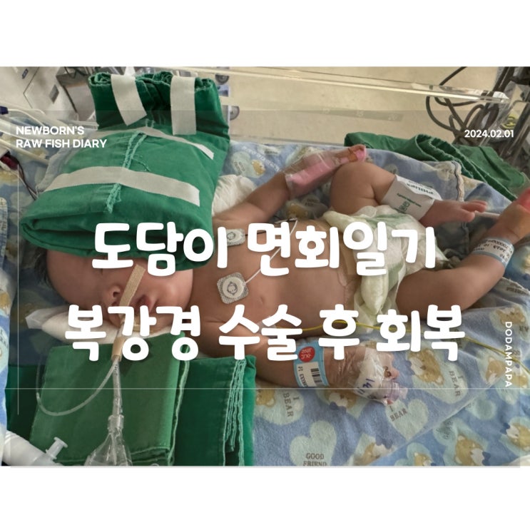 도담이 면회일기 복강경 탈장 수술 후 회복 진행 중 도담이 면회일기 복강경 탈장 수술 후 회복 진행 중