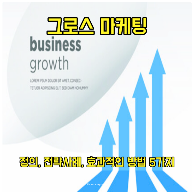  그로스 마케팅 정의와 전략 사례, 효과적인 방법을 위한 5가지 알아보기