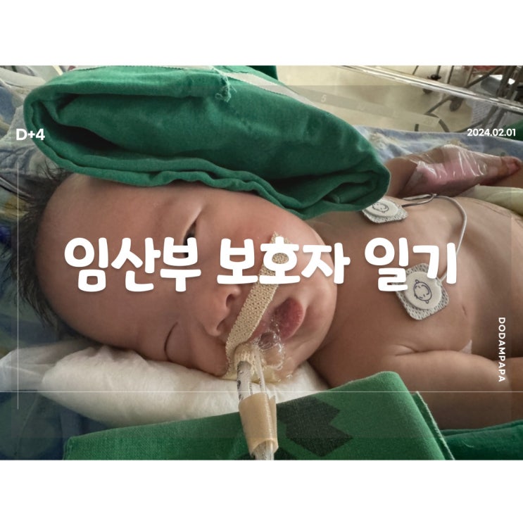 2024.02.01 임산부 보호자 일기 D+4일