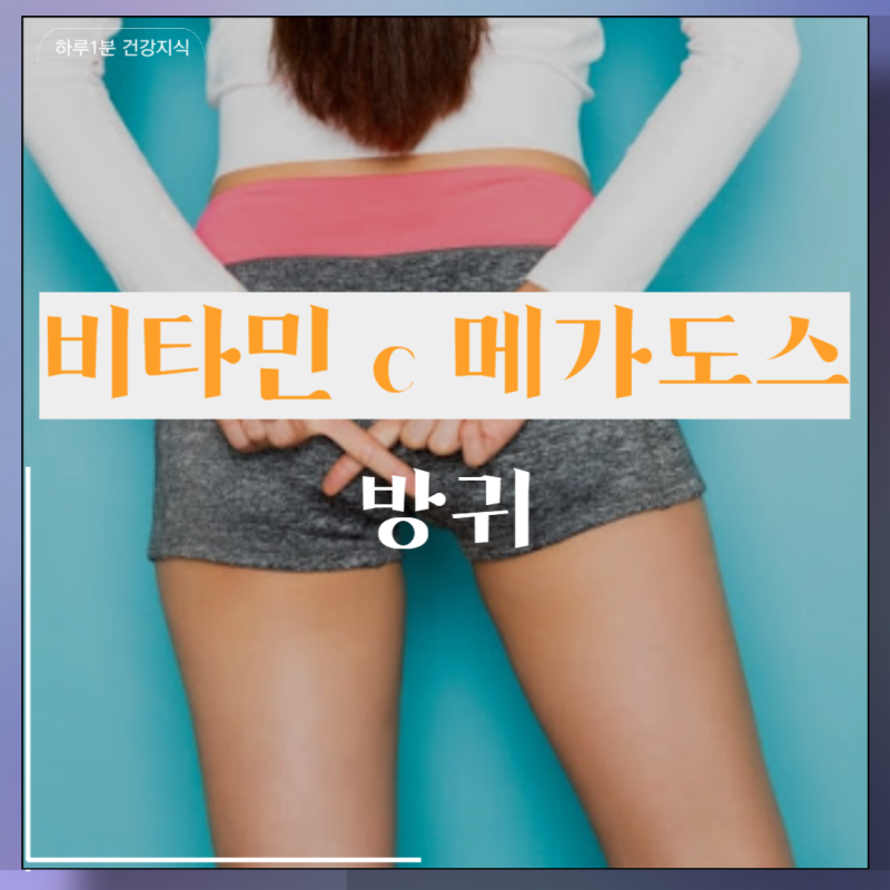 비타민c 메가도스 방귀 증상 : 비타민c와 대장