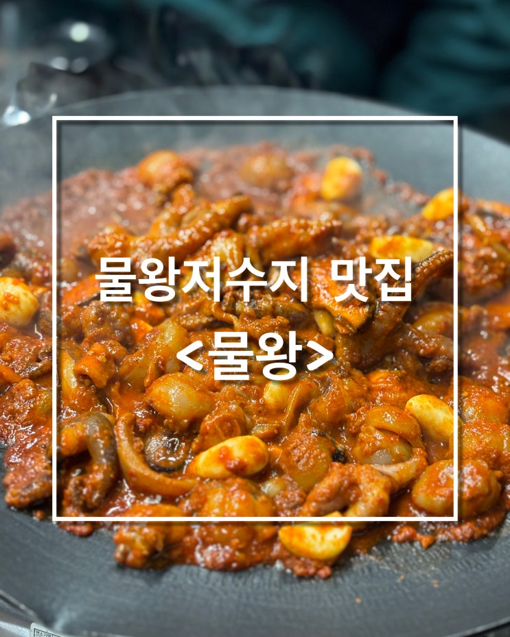  [시흥 맛집] 물왕저수지 통마늘 쭈꾸미 맛집 <물왕> 찐후기️
