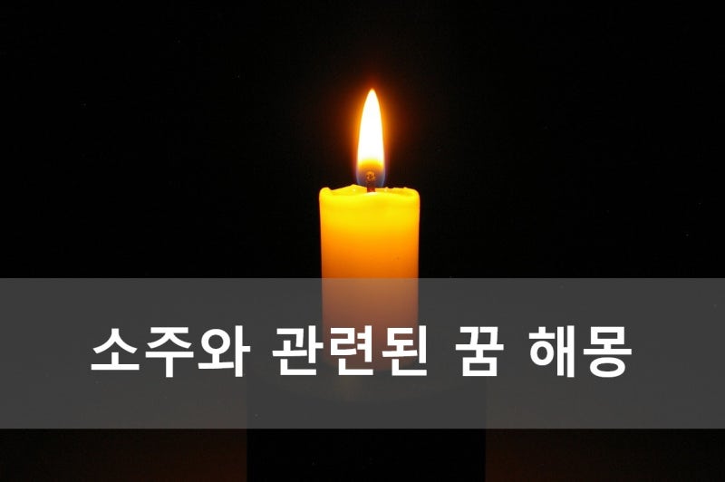 소주와 관련된 꿈 해몽