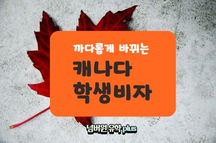  2024년 까다로워진 캐나다 학생비자! 누가 그 대상일까요? [청주캐나다유학]