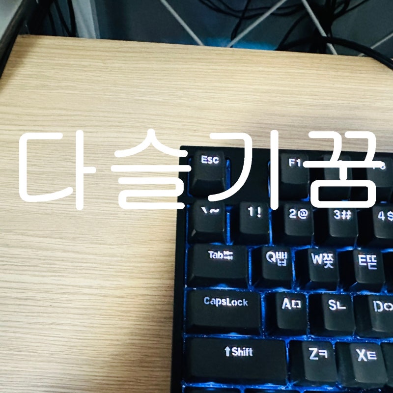 다슬기꿈 재미있는 꿈 이야기