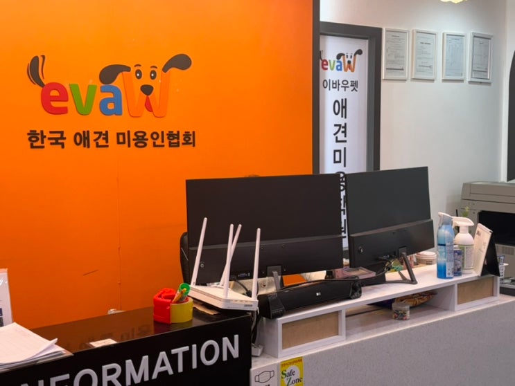  부천애견미용학원 창업 꿈이라면 이바우펫(수업,비용)
