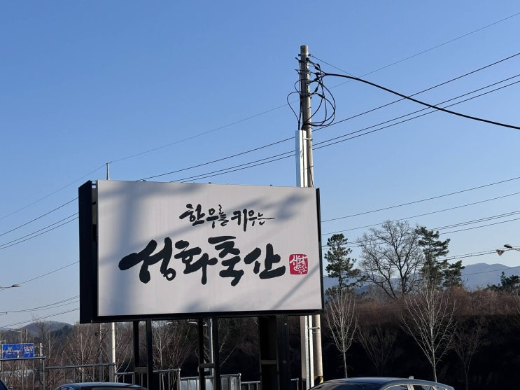  [경산] 성화축산_직접 키운 투쁠++한우를 착한 가격에 먹을 수 있는 맛집