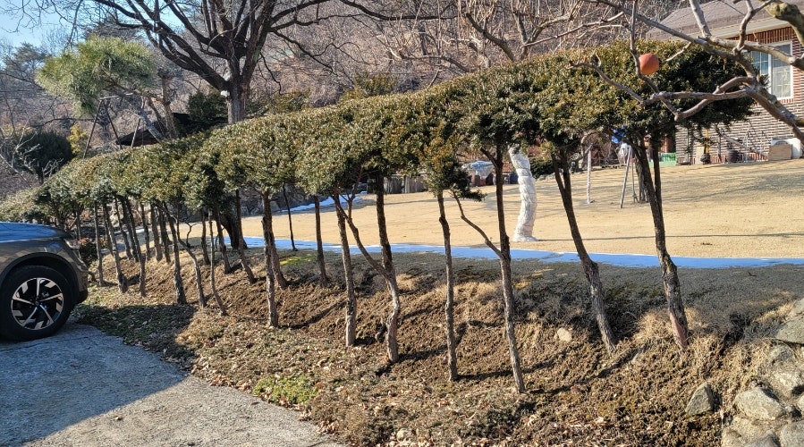 한가롬 사진 5