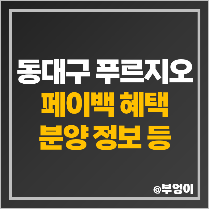 동대구 푸르지오 브리센트 분양가 대구 아파트 분양 페이백 혜택 동대구 푸르지오 브리센트 분양가 대구 아파트 분양 페이백 혜택