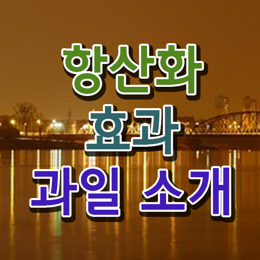  항산화 채소 과일 효능 콕콕 짚어드립니다 !
