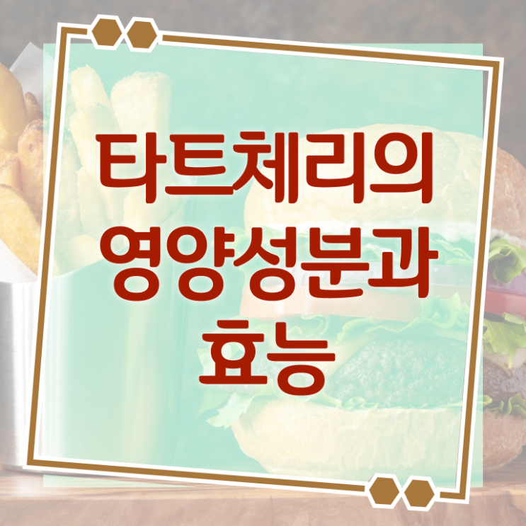  타트 체리 효소 효과 완벽 정리 ?