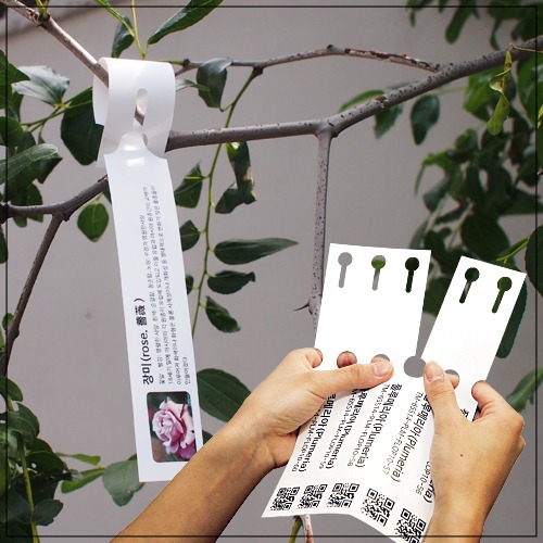 거실 식물인테리어 예쁜 화분 꾸미기 정리 팁 원예용품 방수라벨지 거실 식물인테리어 예쁜 화분 꾸미기 정리 팁 원예용품 방수라벨지