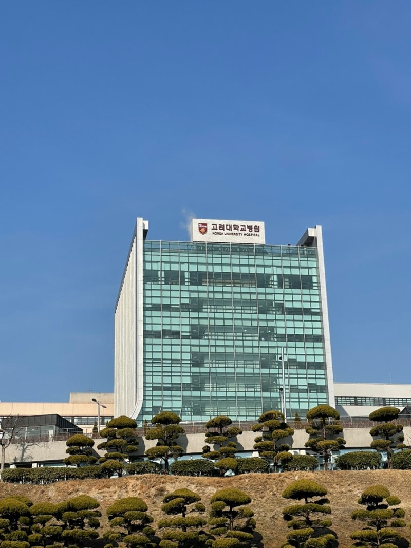 겨울방학 서울투어/고대투어-캠퍼스투어,홍대거리 버스킹 : 네이버 블로그