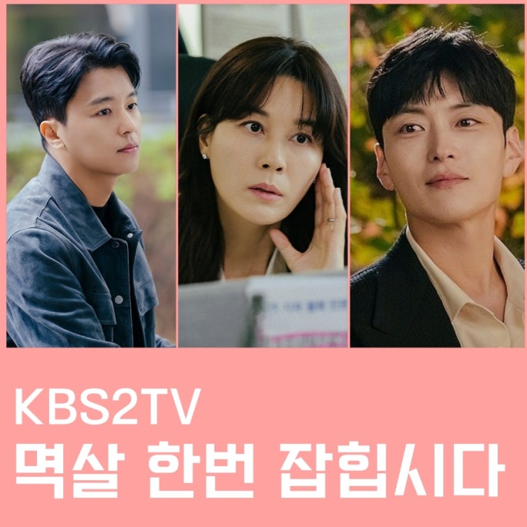 멱살 한번 잡힙시다 출연진 정보 KBS2TV 월화 드라마 환상연가 후속