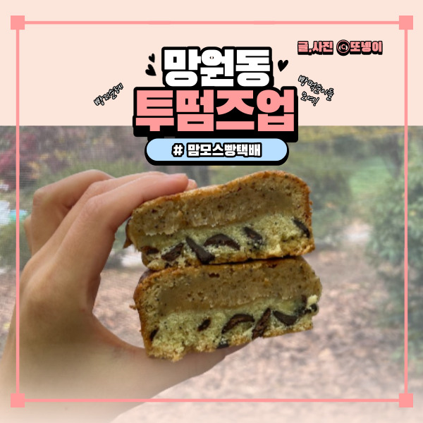  투떰즈업 택배 두번째 후기 맘모스 쑥쑥모스 얼그레이초코꾸덕바 빵지순례(feat.내돈내산)