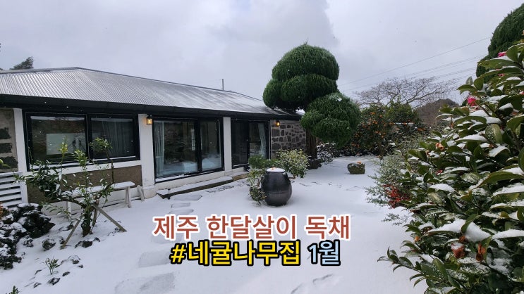 가족과 함께 제주 한달살기 독채 - 눈 내린 겨울, 1월 제주 돌담으로 가려진 프라이빗 숙소 가족과 함께 제주 한달살기 독채 - 눈 내린 겨울, 1월 제주 돌담으로 가려진 프라이빗 숙소