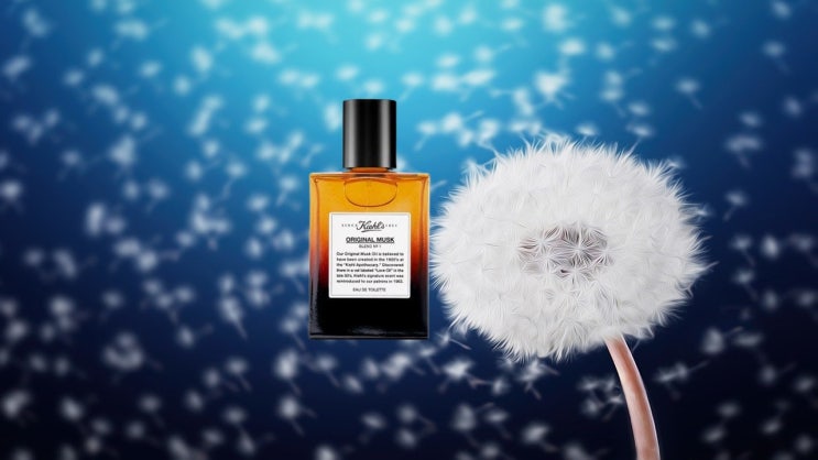  키엘 오리지널 머스크 블렌드 50ml