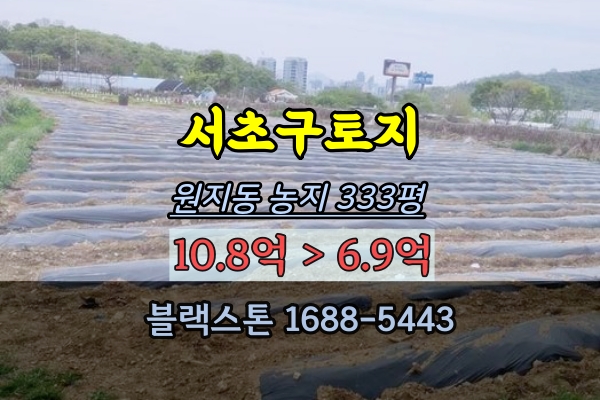  서초구토지 경매 원지동 농지 300평대