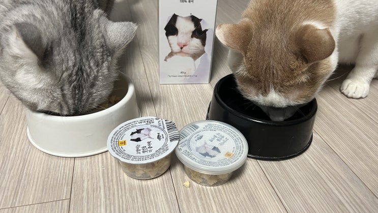  고양이 동결건조간식 와그작