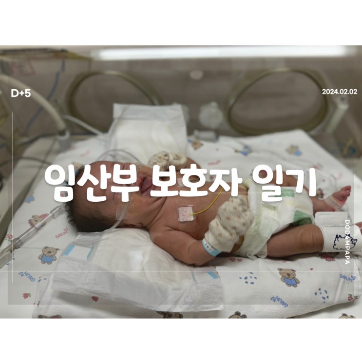 2024.02.02 임산부 보호자 일기 D+5일 2024.02.02 임산부 보호자 일기 D+5일