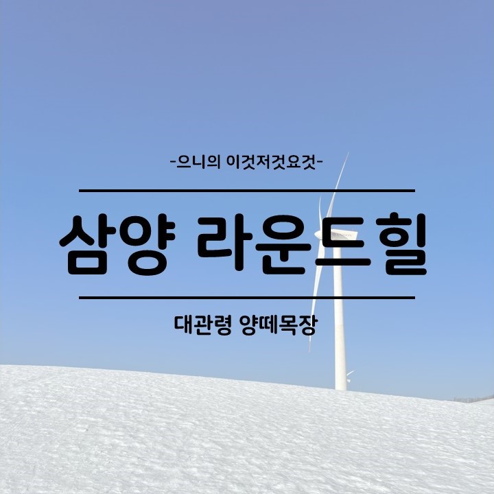  강원도 평창 대관령 겨울여행 양떼목장 삼양 라운드힐