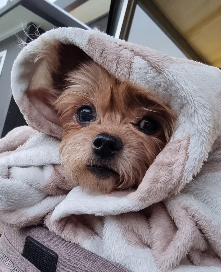 프로답방러( ︎'ω')︎