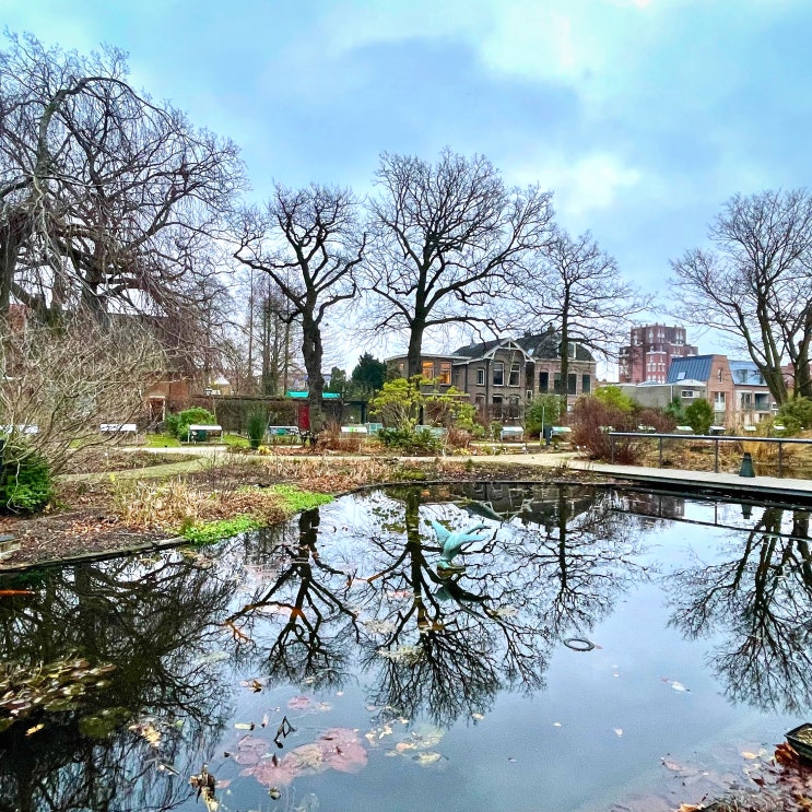  #240202 네덜란드 여행 - 레이던, Hortus Botanicus Leiden