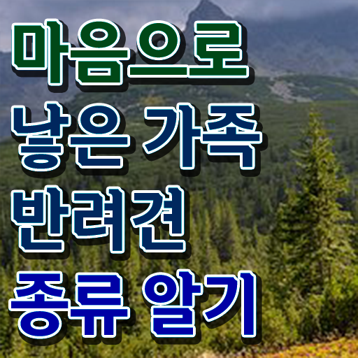  반려동물 관리사 학원 1급 정보 이모저모 .