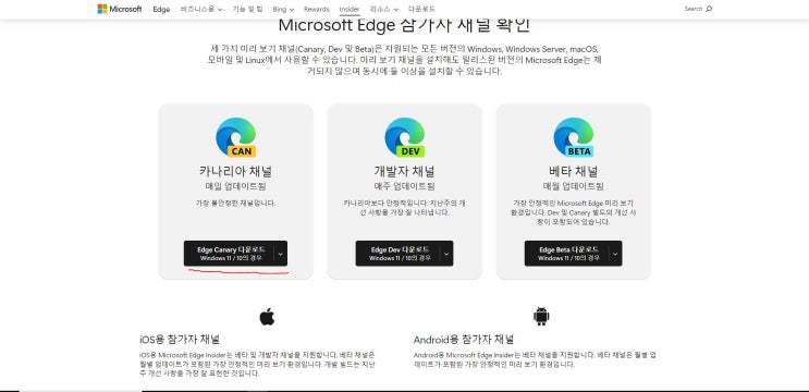  마이크로소프트판 '서클 투 서치', 서클 투 코파일럿 사용해보기