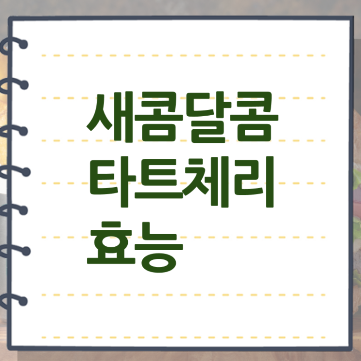  타트체리 수면 복용법 핵심 정보 !