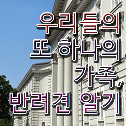  반려동물 관리사 학원 빠른 취득 정보 가득 ?