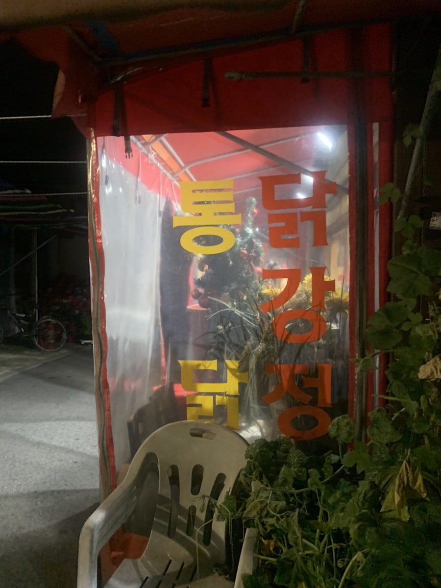 우주닭 사진 2