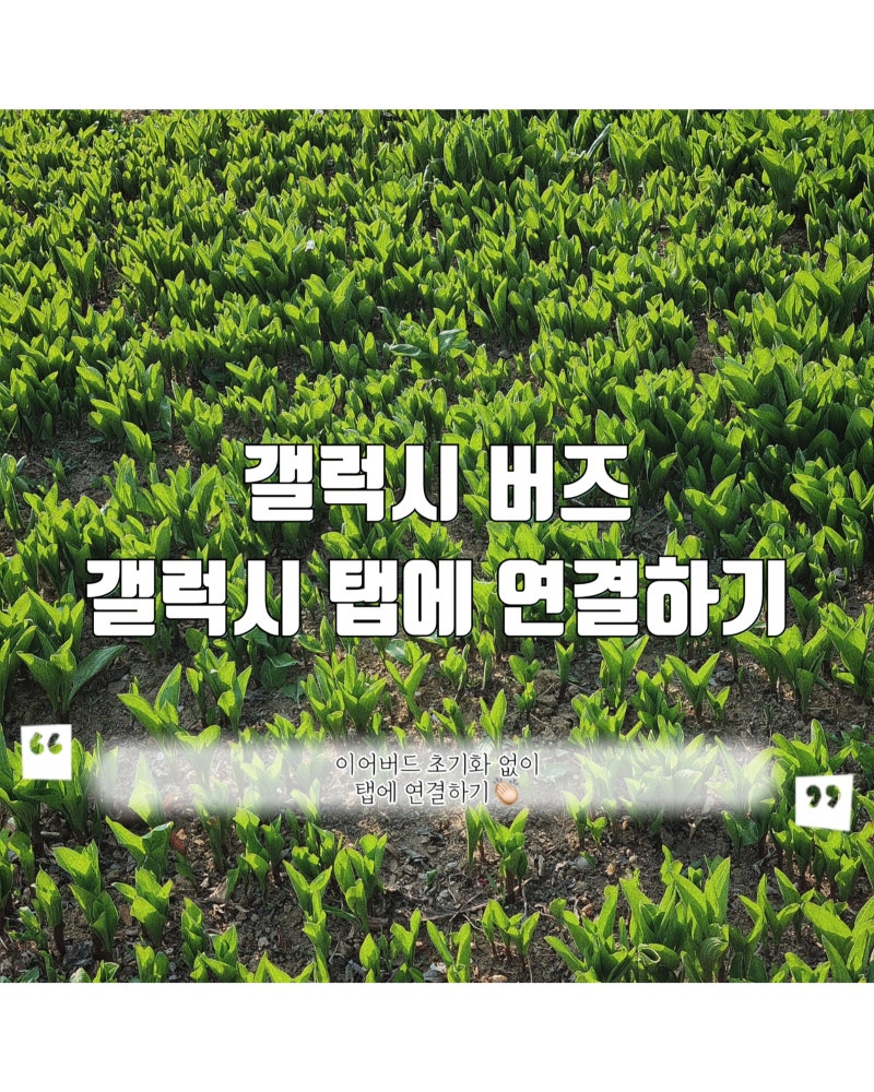[갤럭시 버즈 갤럭시 탭에 연결하는 방법] 이어버드 초기화 없이 갤럭시 탭에 연결하기✨️