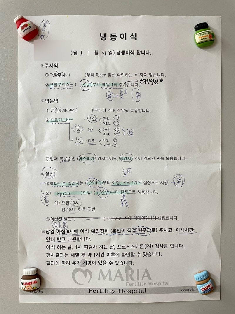 시험관 동결3차-2] 대구마리아 감자배아 이식 : 네이버 블로그