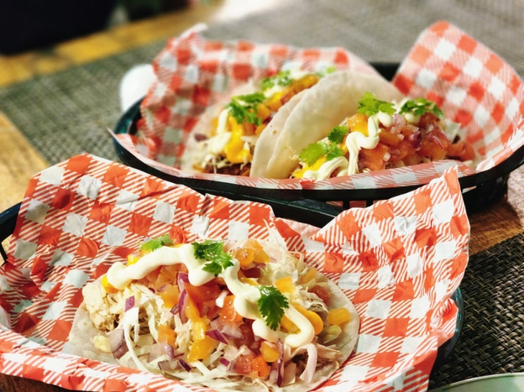  보홀 로컬 맛집 The Original Cactus Cantina Tex-Mex