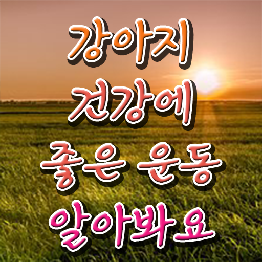  반려견운동지도사 1급 자격증 전망 핵심 정보 가득 ~