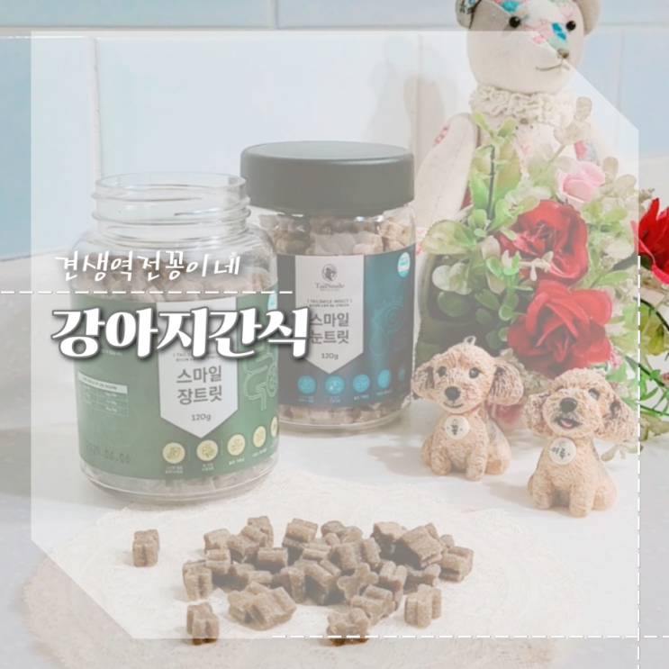  노견 간식, 강아지 노즈워크간식 반려견간식추천 테일스마일