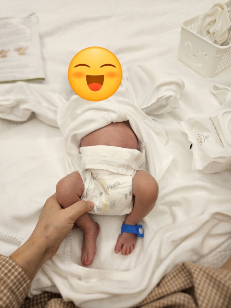  압타밀 프로푸트라(독일직구용)를 사야 되는 이유, 싸게 구매하는 법