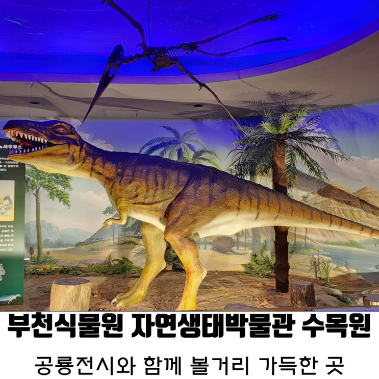[부천] 공룡 전시와 함께 볼거리 가득한 곳 : 부천자연생태박물관 부천식물원 무료입장