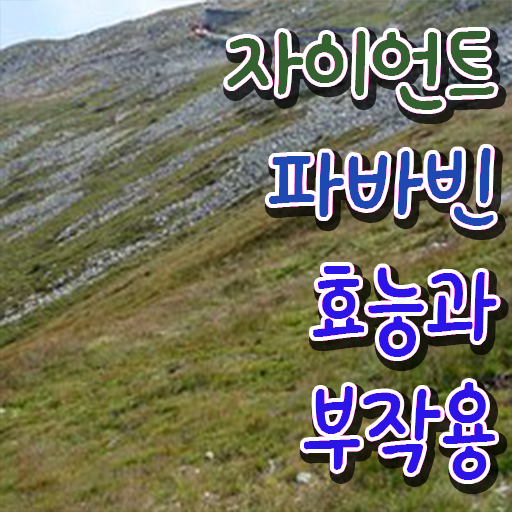 자이언트 파바빈 콩 부작용 여기서 확인하고 가세요 .