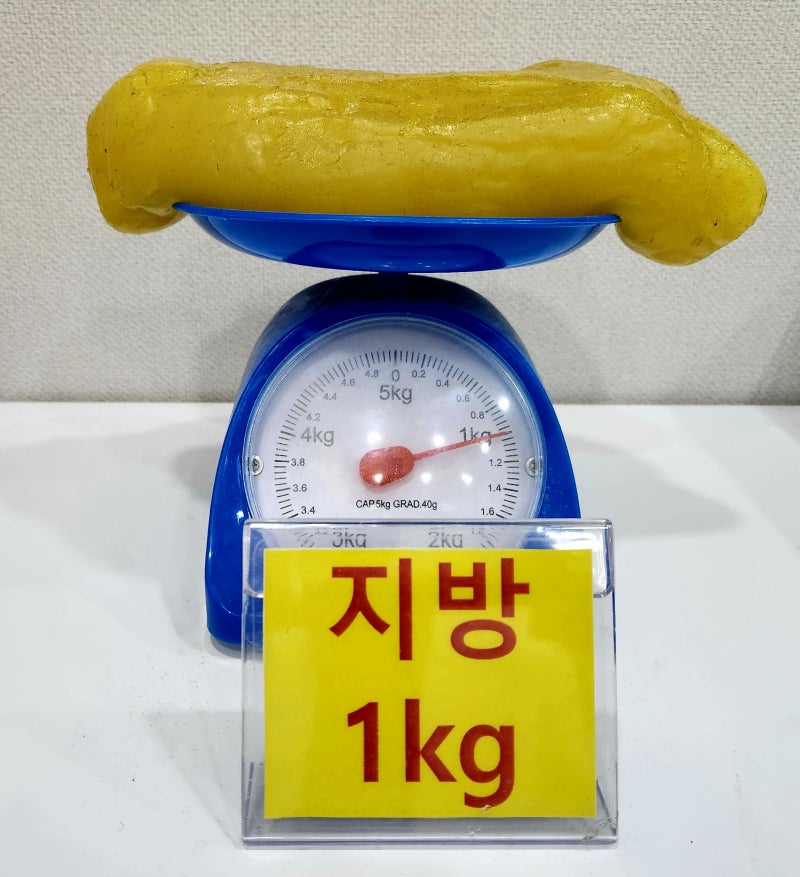 지방 1kg 칼로리는 얼마일까? 운동으로 1kg를 빼려면 얼마나 운동 해야할까?