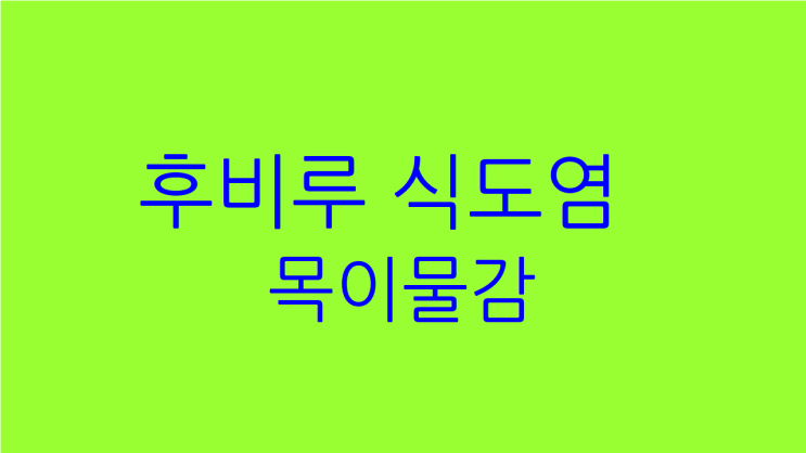  후비루 역류성식도염 목이물감 기침 원인과 치료