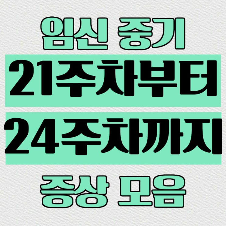 임신6개월차 중기 21주차부터 24주차까지 증상모음, 정밀초음파꿀팁, 임신황금기