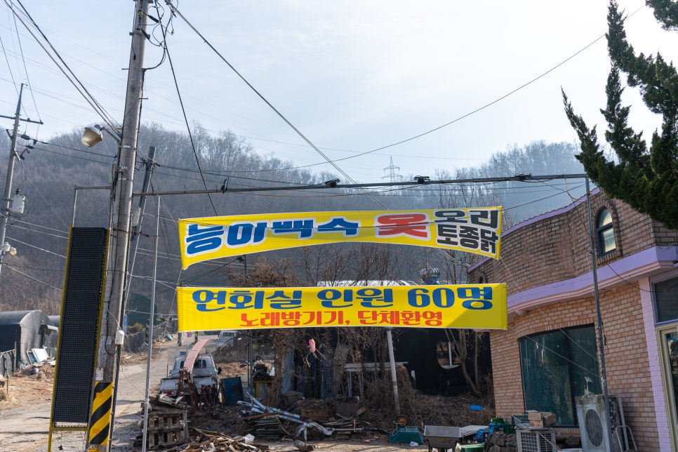 숲속가든 사진 3