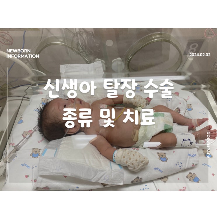 신생아 정보 신생아 탈장 수술 종류 및 치료 신생아 정보 신생아 탈장 수술 종류 및 치료